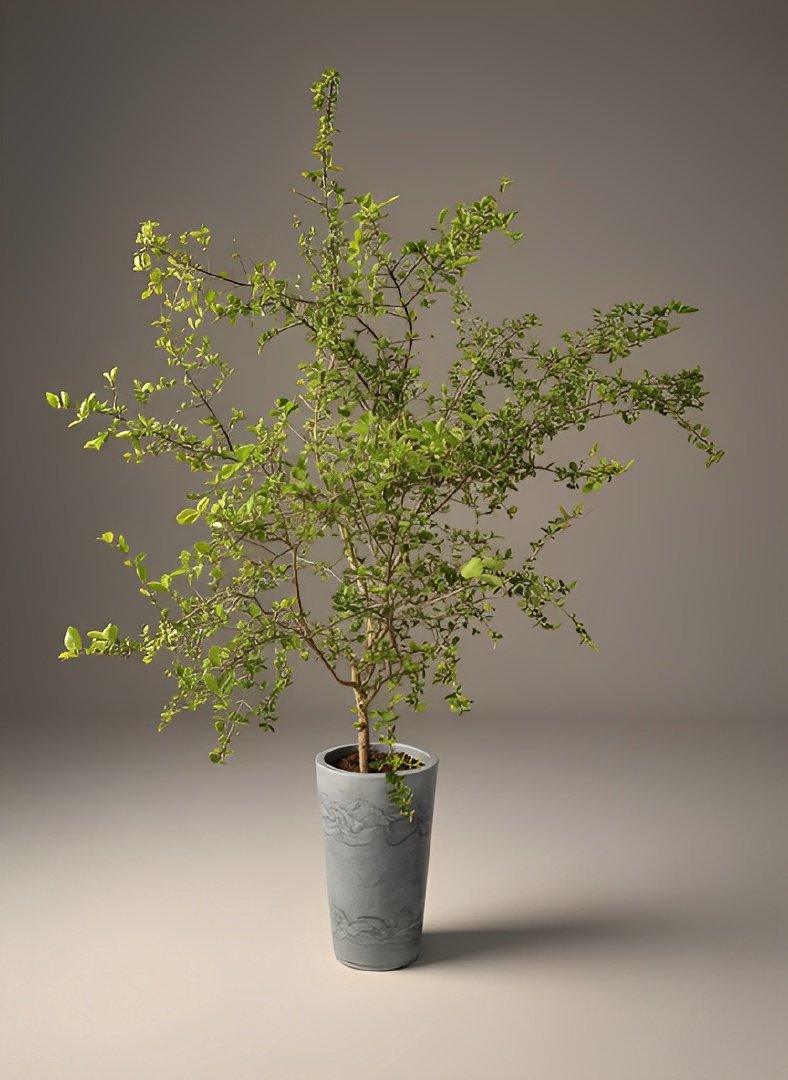 Foto do pé de acerola com tratamento de cor, destacando o vermelho das frutas
